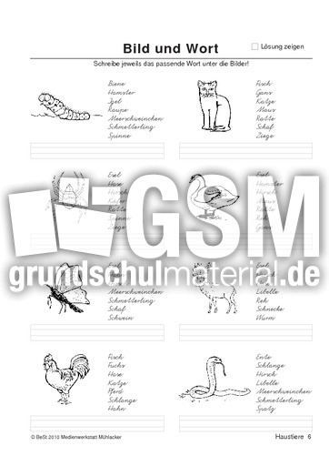 BuW Haustiere6.pdf